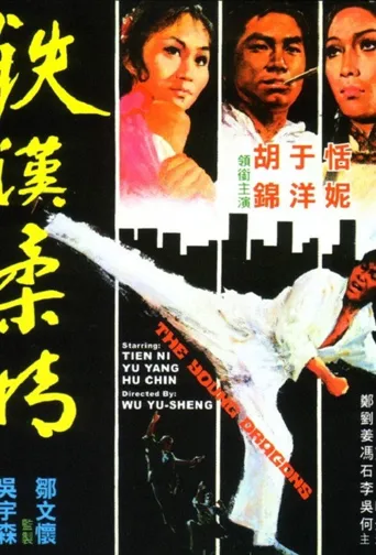 铁汉柔情海报