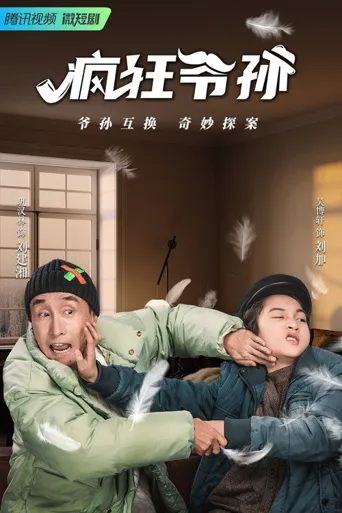 疯狂爷孙海报