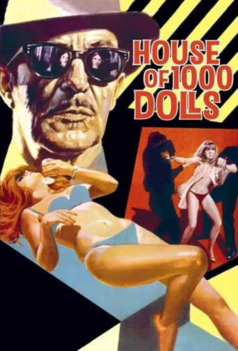 千娇屋海报