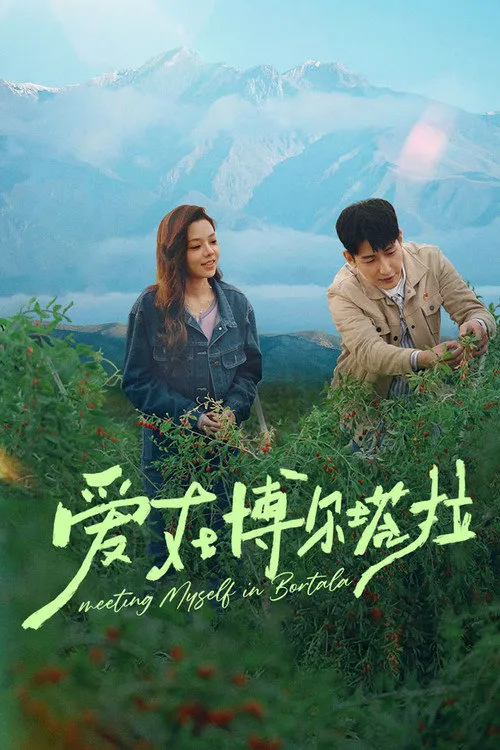 爱在博尔塔拉海报