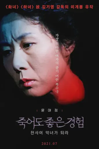 死也是很好的经验海报