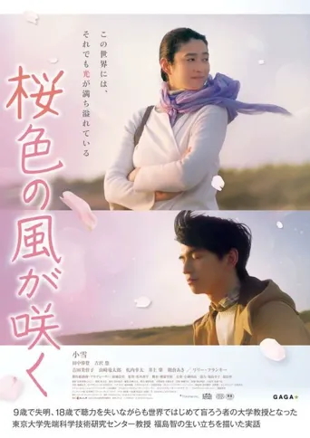 风临樱花开海报