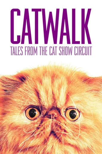 Catwalk: Tales from the Cat Show Circuit海报