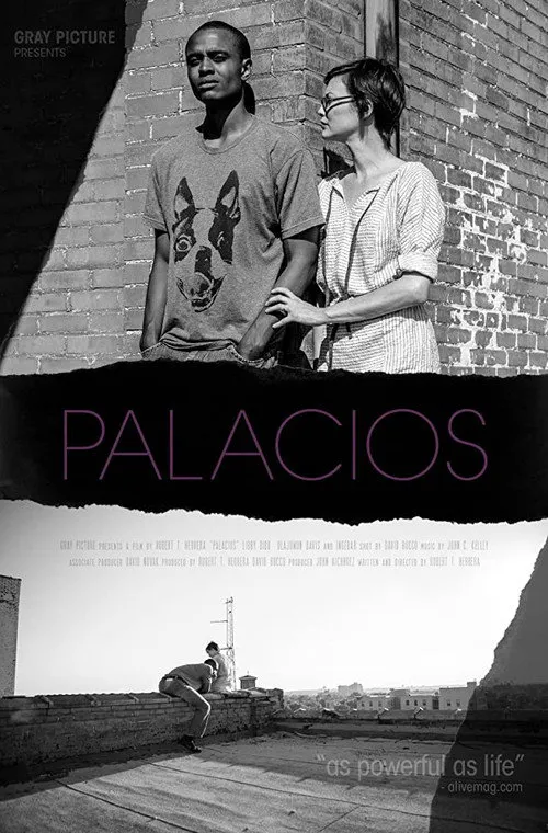Palacios海报