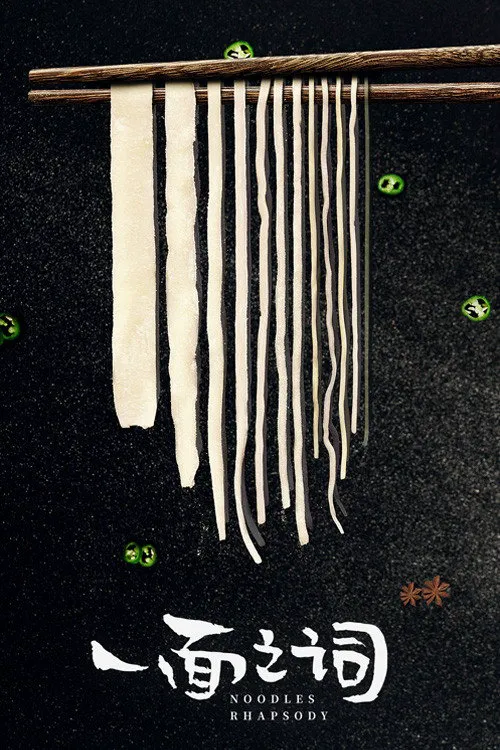 一面之词海报