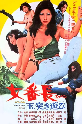 女番长之台球式游戏海报