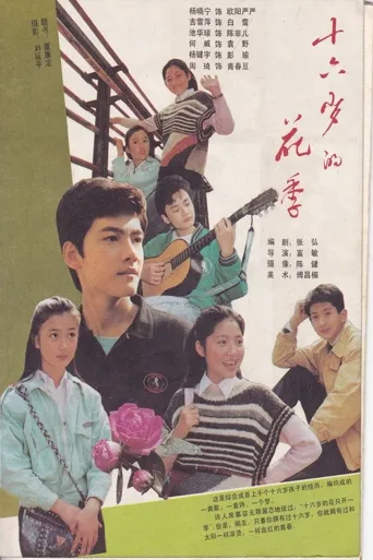 十六岁的花季海报