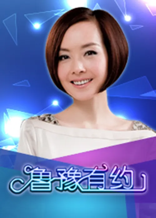 鲁豫有约 第 1 季海报