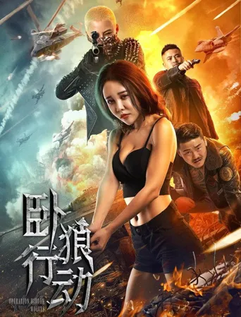 卧狼行动海报