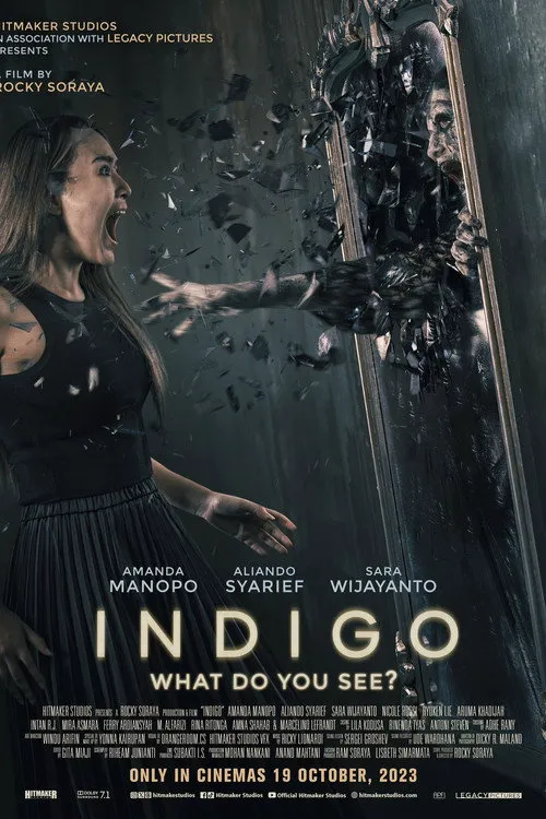 Indigo海报