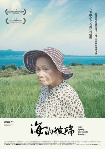 海的彼端海报