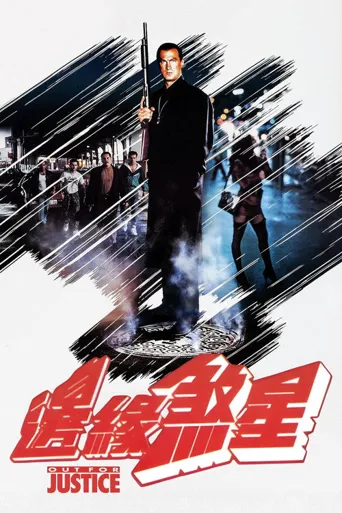 为了正义海报