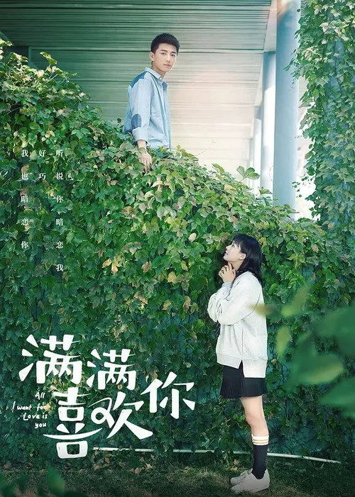 满满喜欢你海报