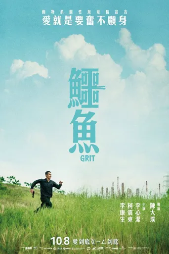 鳄鱼海报