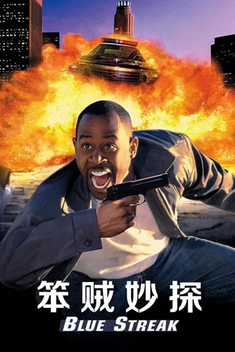 笨贼妙探海报