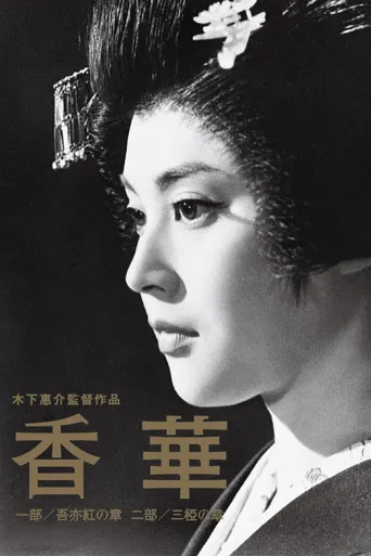 香华海报
