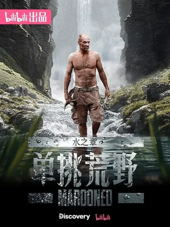 单挑荒野 第 3 季海报