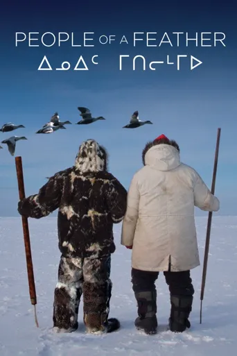 羽之歌海报
