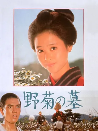 野菊之墓海报