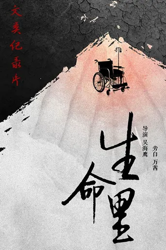 生命里海报