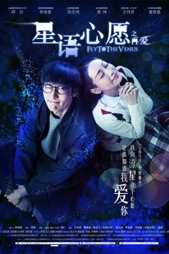 星语心愿之再爱海报