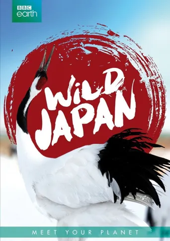 狂野日本海报
