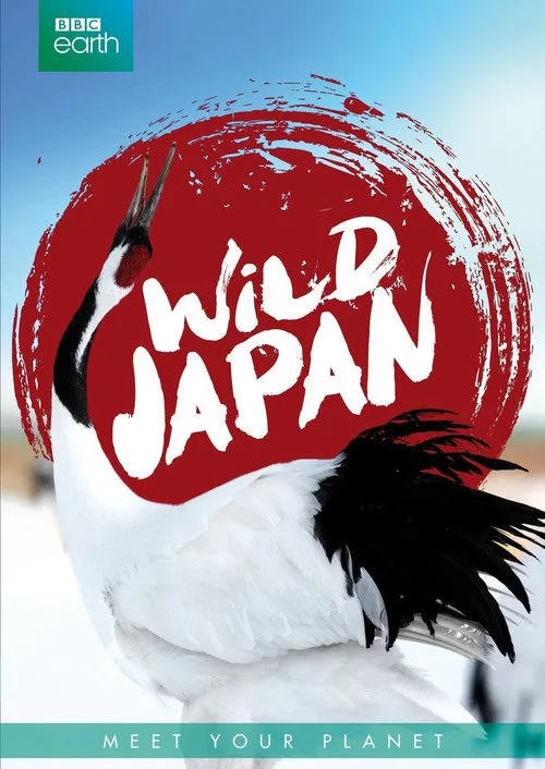 狂野日本海报