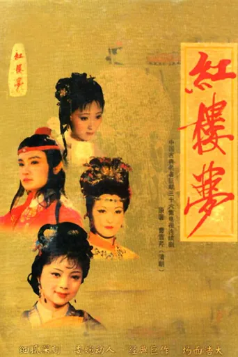 红楼梦海报