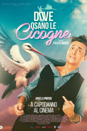 Dove osano le cicogne海报