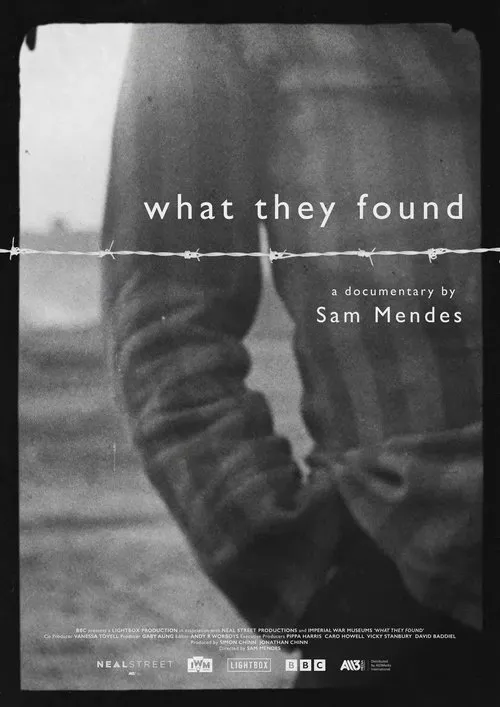 What They Found海报