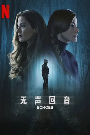 双胞回声海报