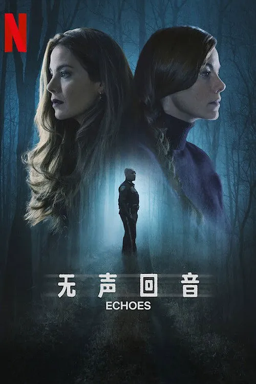 双胞回声海报