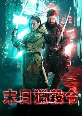 最后的刺客海报