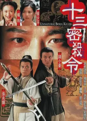 十三密杀令海报
