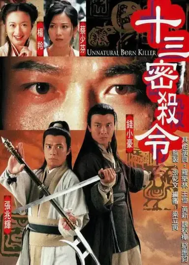十三密杀令海报