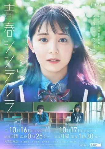 青春灰姑娘海报