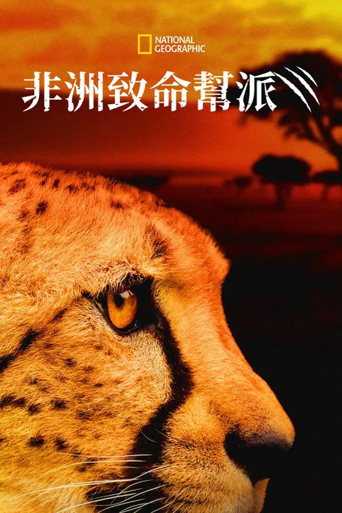 非洲最致命动物 第 5 季海报