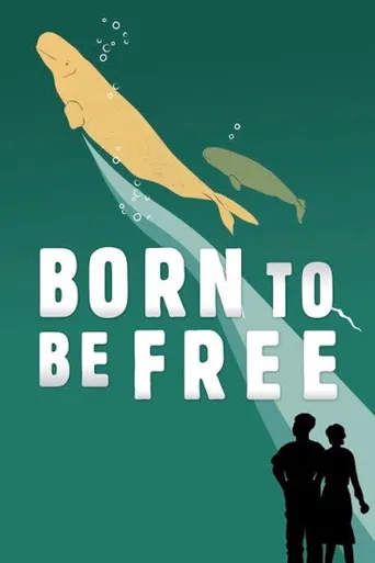 Born to Be Free海报