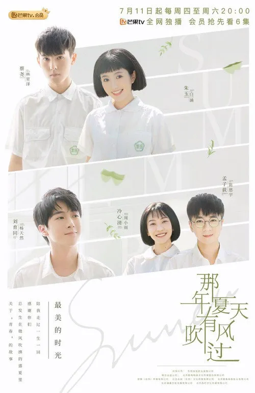 那年夏天有风吹过海报