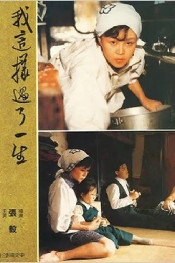 我这样过了一生海报