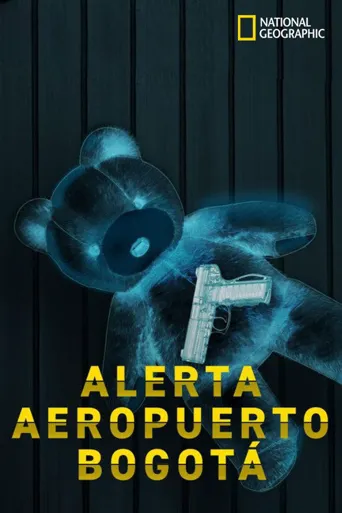 Alerta Aeropuerto 第 1 季海报