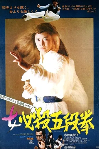 女必杀五段拳海报