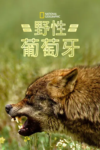 狂野葡萄牙海报