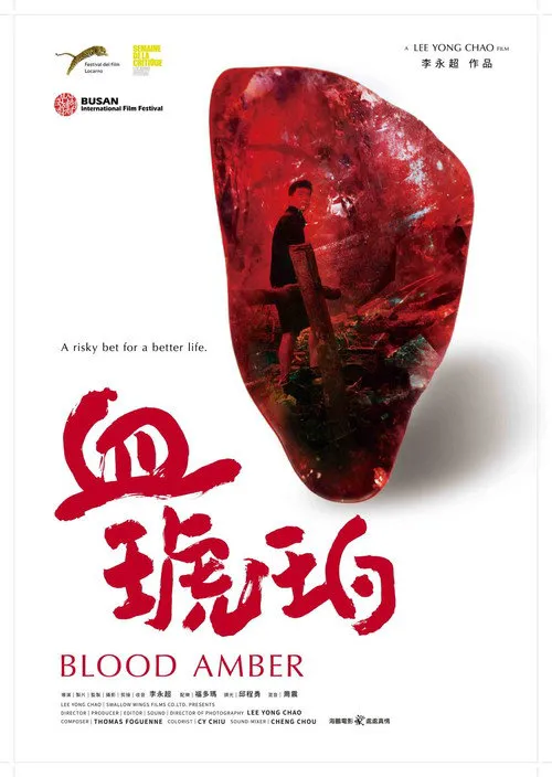 血琥珀海报