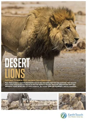 Desert Lions海报