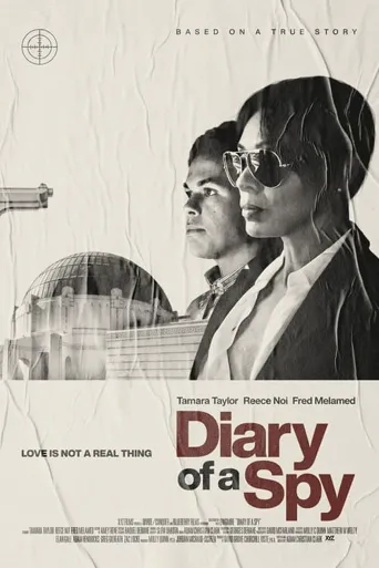 Diary of a Spy海报