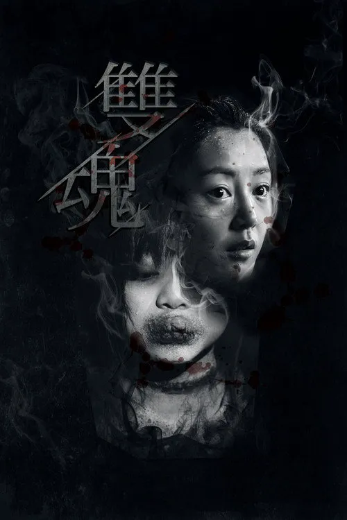 双魂海报