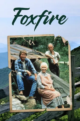 农庄阴阳情海报