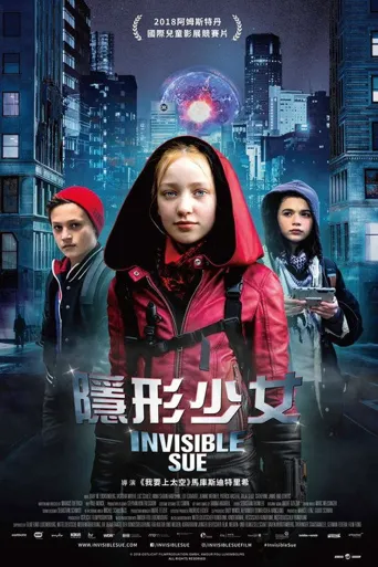 看不见的苏海报
