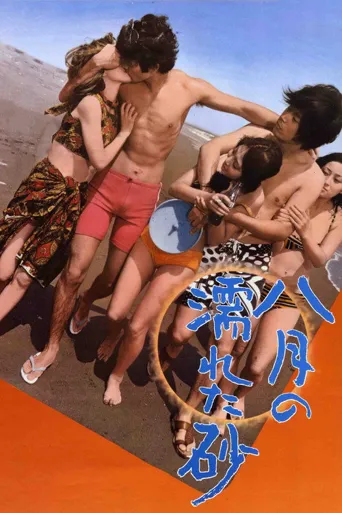 八月湿砂海报